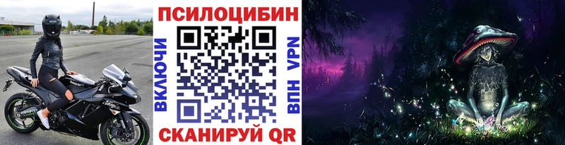 Псилоцибиновые грибы Psilocybe  Купить  Арамиль 